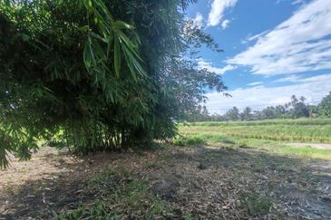 TANAH SAWAH BENDANG + TAPAK RUMAH UNTUK DIJUAL