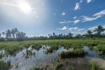 TANAH SAWAH BENDANG + TAPAK RUMAH UNTUK DIJUAL