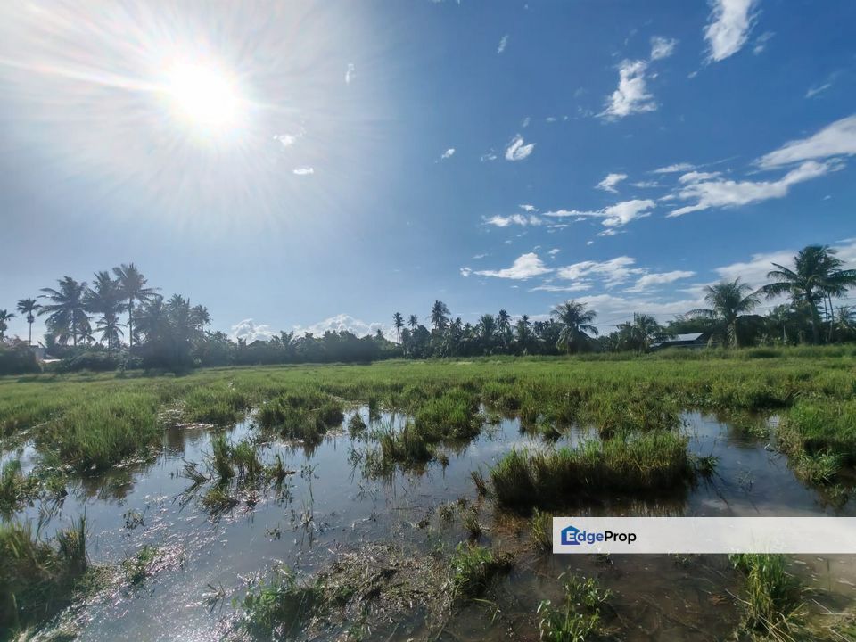 TANAH SAWAH BENDANG + TAPAK RUMAH UNTUK DIJUAL, Penang, Kepala Batas