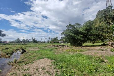 TANAH SAWAH BENDANG + TAPAK RUMAH UNTUK DIJUAL