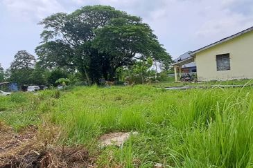 TANAH LOT UNTUK DIJUAL 