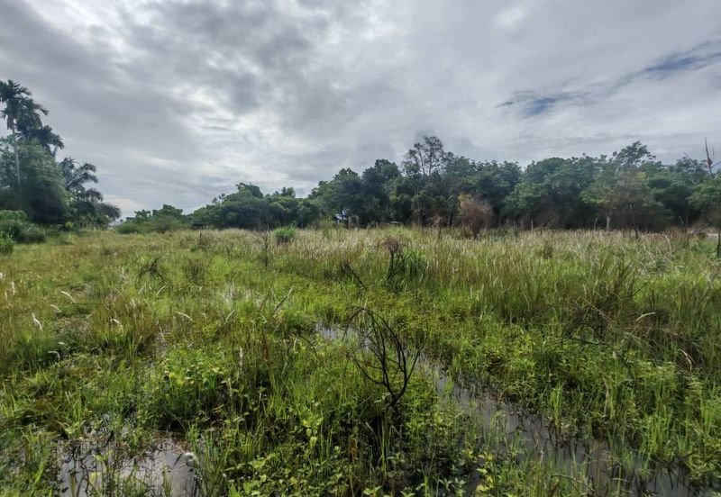 Kampung Tersusun Pongsu Seribu