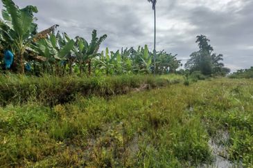 Kampung Tersusun Pongsu Seribu