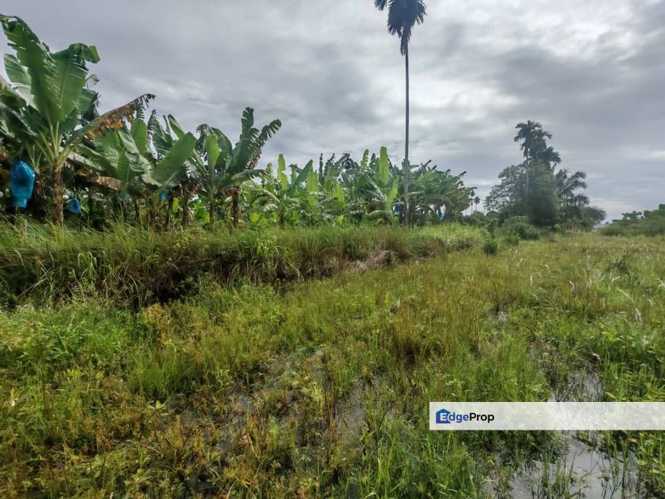 RESIDENTIAL LAND GERAN INDIVIDU UNTUK DIJUAL, Penang, Kepala Batas