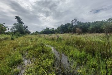 Kampung Tersusun Pongsu Seribu