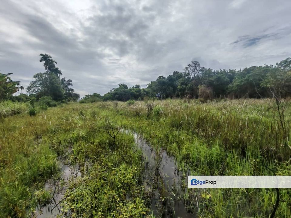 RESIDENTIAL LAND GERAN INDIVIDU UNTUK DIJUAL, Penang, Kepala Batas