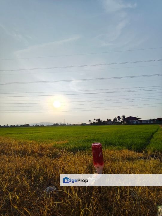 TANAH BENDANG GERAN INDIVIDU UNTUK DI JUAL, Penang, Bertam