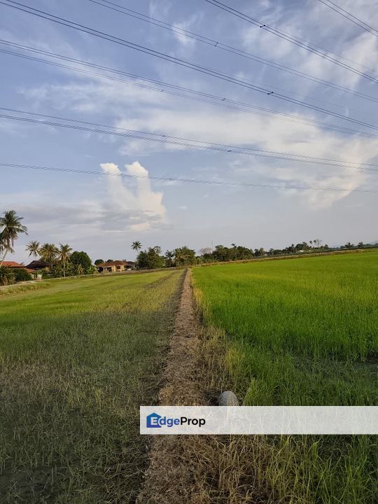 TANAH BENDANG GERAN INDIVIDU UNTUK DI JUAL, Penang, Bertam