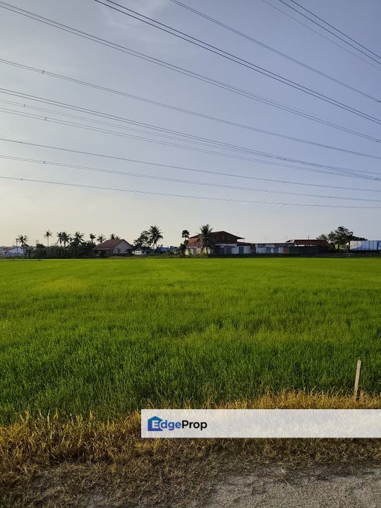 TANAH BENDANG GERAN INDIVIDU UNTUK DI JUAL, Penang, Bertam