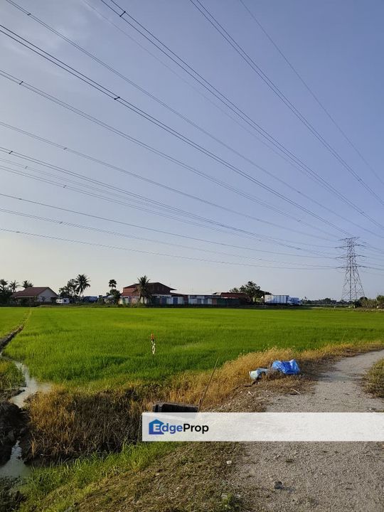 TANAH BENDANG GERAN INDIVIDU UNTUK DI JUAL, Penang, Bertam