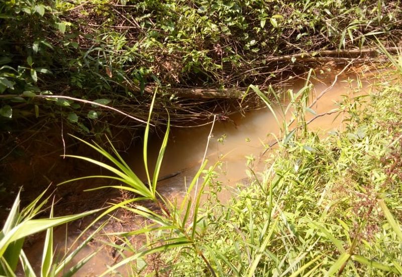 TANAH KEBUN GETAH DI KUALA NERANG UNTUK DIJUAL