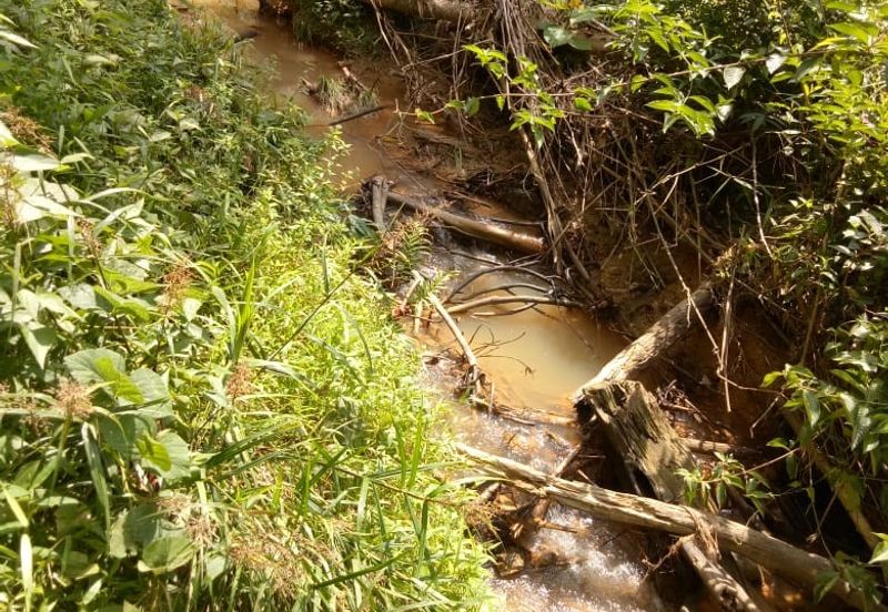 TANAH KEBUN GETAH DI KUALA NERANG UNTUK DIJUAL