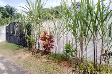 Nibong Tebal, Penang
