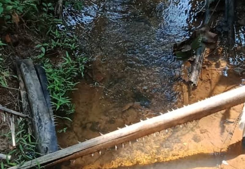 TANAH SAWIT UNTUK DIJUAL KAMPUNG LUAR, MUKIM SIONG, DAERAH BALING, KEDAH DARUL AMAN