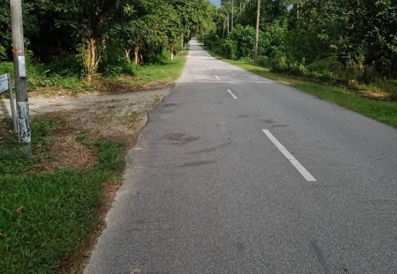 TANAH SAWIT UNTUK DIJUAL KAMPUNG LUAR, MUKIM SIONG, DAERAH BALING, KEDAH DARUL AMAN