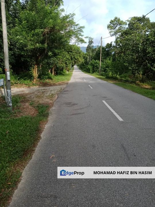TANAH SAWIT UNTUK DIJUAL KAMPUNG LUAR, MUKIM SIONG, DAERAH BALING, KEDAH DARUL AMAN, Kedah, Baling