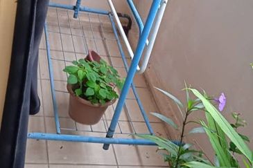 Pangsapuri Delima Intan