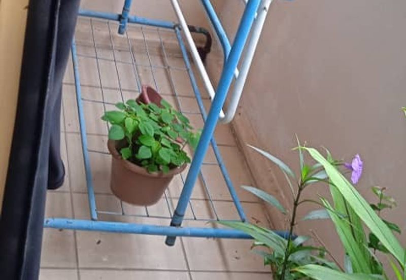 Pangsapuri Delima Intan