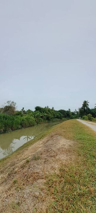 TANAH PERTANIAN KUBANG MENERONG, Kepala Batas, Penang UNTUK DIJUAL !!!, Penang, Kepala Batas
