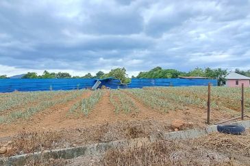 Tanah lot geran individu Tasek Gelugor UNTUK DIJUAL !! !!  Komuniti yang harmoni dan tenang. Kejiranan Melayu