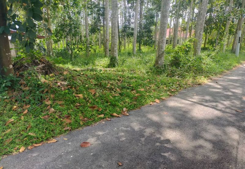 Tanah Untuk Bina Rumah di Kuala Nerang,Kedah Rapat Jalan Utama,Rapat jalan mini tar,Rapat rumah penduduk 