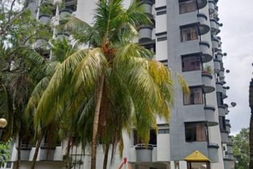 Ferringhi Delima Condominium