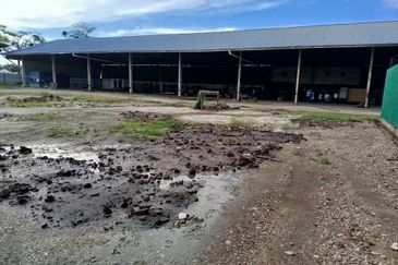 20,000 sqf of open area/space @ Sg Lokan industrial park for rental.