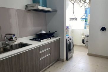 The Light Collection II