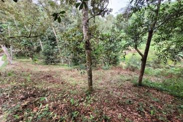 Bandar Utama Batang Kali