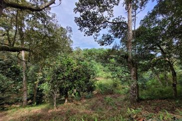 Bandar Utama Batang Kali