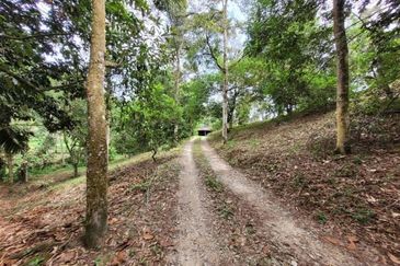 Bandar Utama Batang Kali