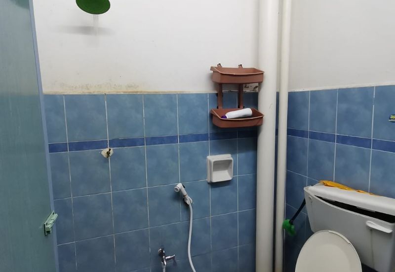 Taman Lembah Bujang, Merbok, Kedah Darul Aman