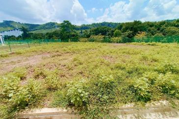 𝗧𝗔𝗠𝗔𝗡 𝗧𝗨𝗡𝗞𝗨 𝗜𝗡𝗧𝗔𝗡 𝗦𝗔𝗙𝗜𝗡𝗔𝗭 