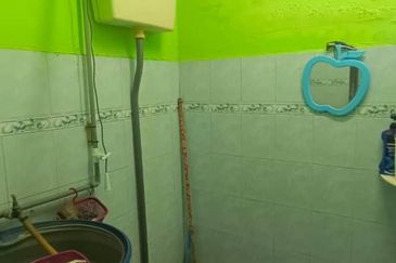 TAMAN KELADI SG PETANI