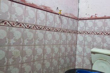 TAMAN RIA ARAU PERLIS