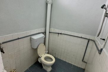 PAYA TERUBONG PULAU PINANG