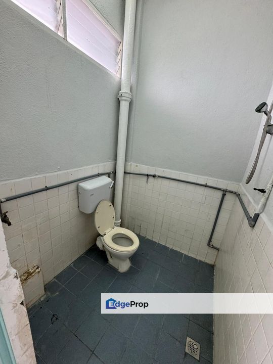 PAYA TERUBONG PULAU PINANG, Penang, Paya Terubong