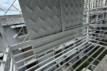 PAYA TERUBONG PULAU PINANG