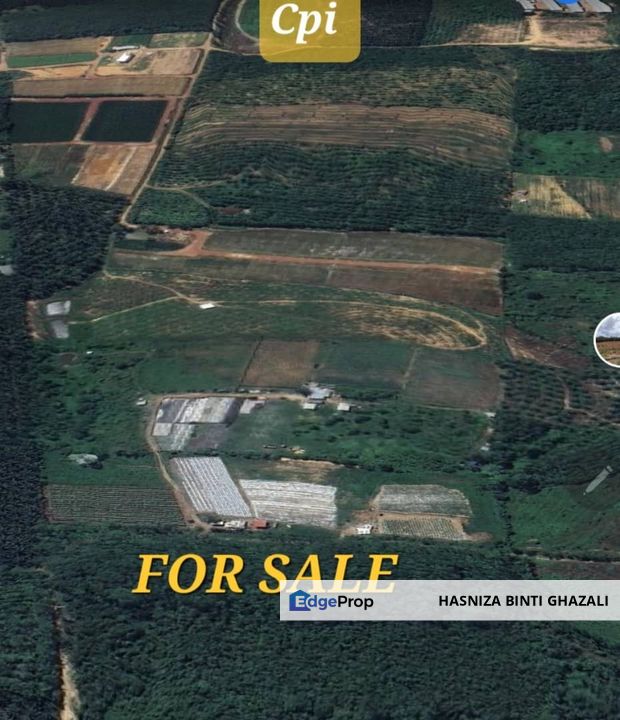 Bukit kuang ,Gurun  Tanah Kebun Sayur, Kedah, Kuala Muda