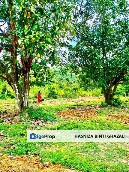 JUAL LUMPSUM 2 GERAN TANAH DUSUN BESERTA RUMAH , Kedah, Sik