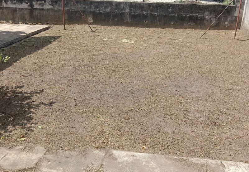 URGENT SALE ‼️Taman Pertama, Pokok Sena, Kedah untuk dijual
