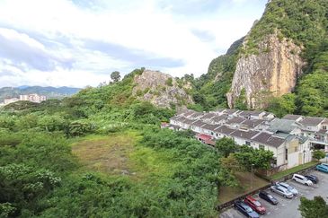 Penaga @ Taman Raintree