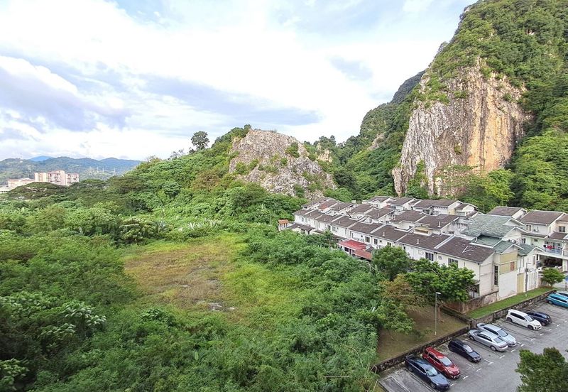 Penaga @ Taman Raintree