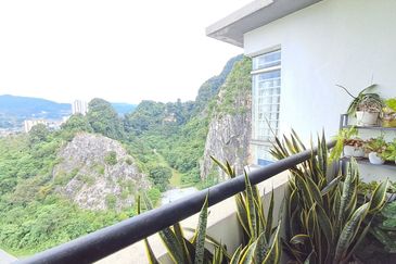 Penaga @ Taman Raintree