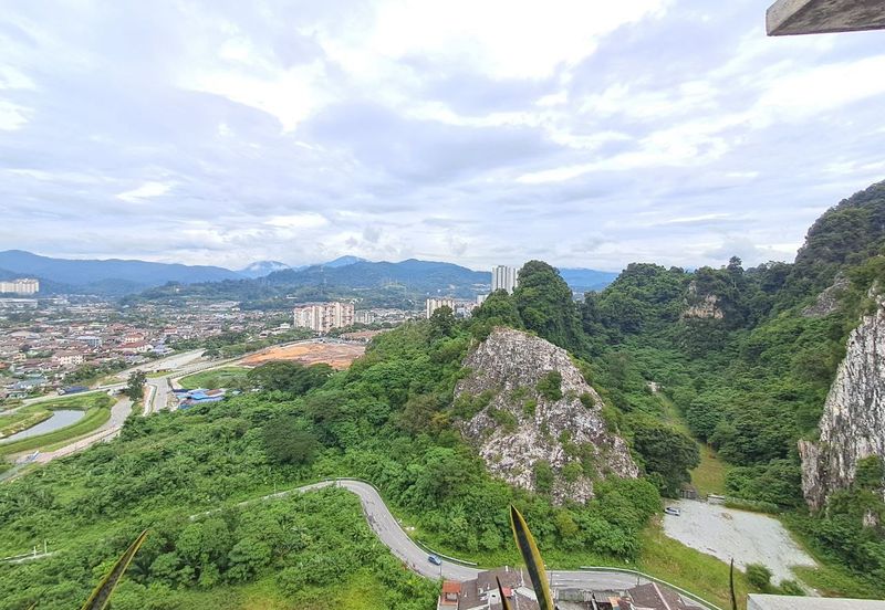 Penaga @ Taman Raintree