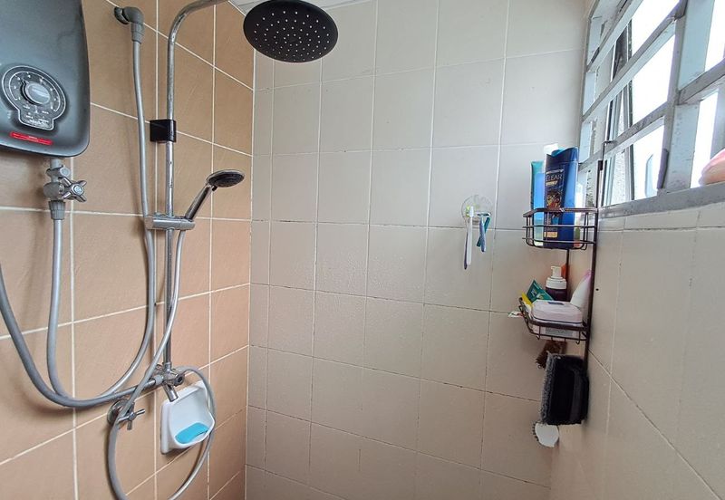 Penaga @ Taman Raintree