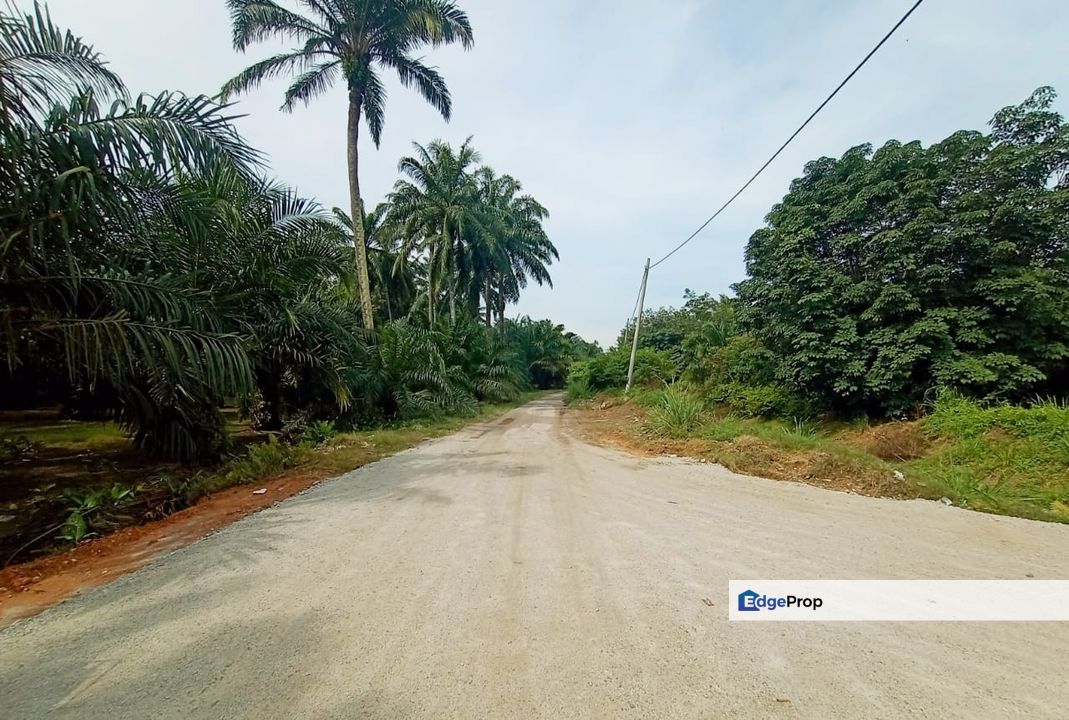 Jln Kuala Selangor land, Selangor, Batang Berjuntai
