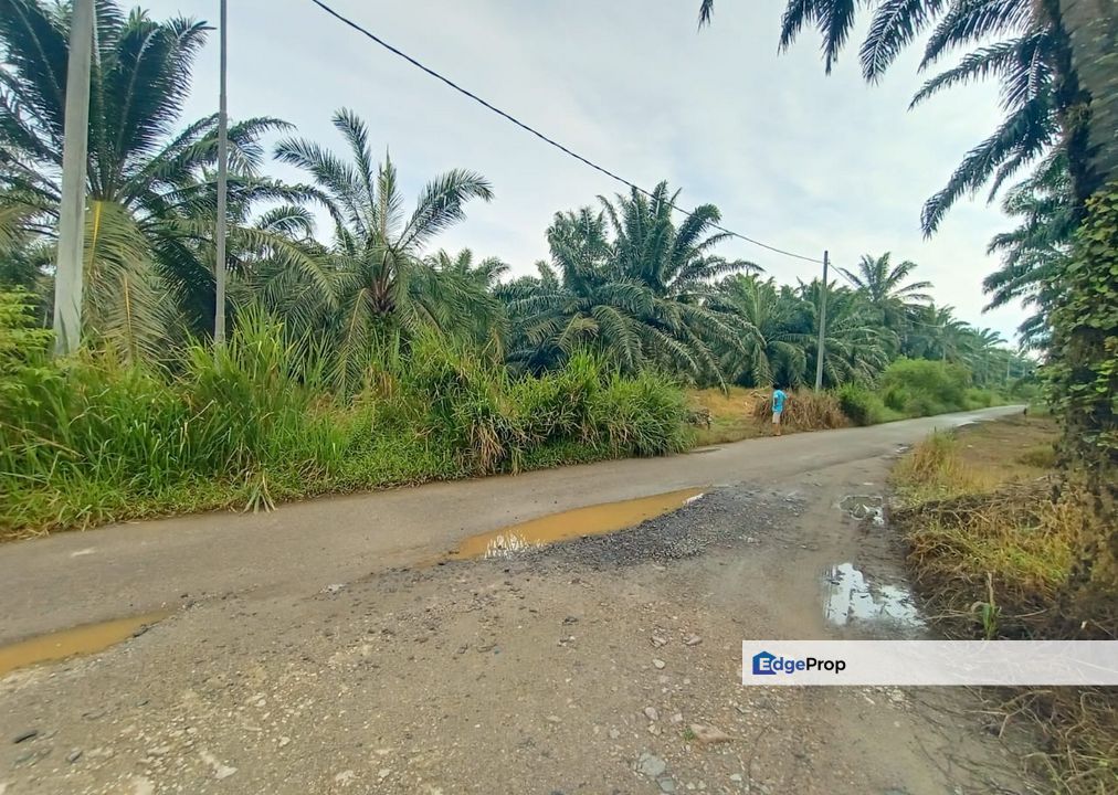 Jln Kuala Selangor land, Selangor, Batang Berjuntai