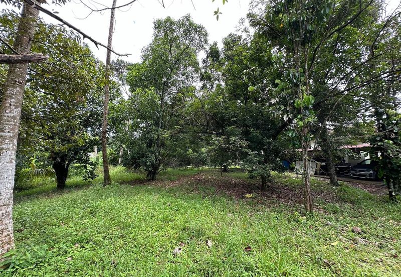 Below Market Bungalow Lot Kampung Sungai Serai Rawang