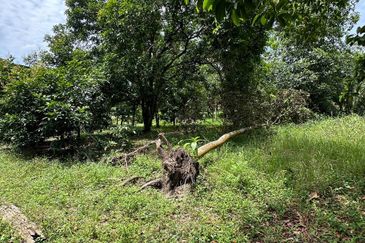 Below Market Bungalow Lot Kampung Sungai Serai Rawang